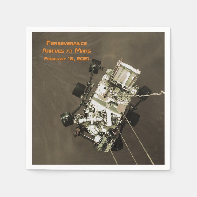 Durchhaltevermögen Ankunft in Mars Serviette (Vorderseite)