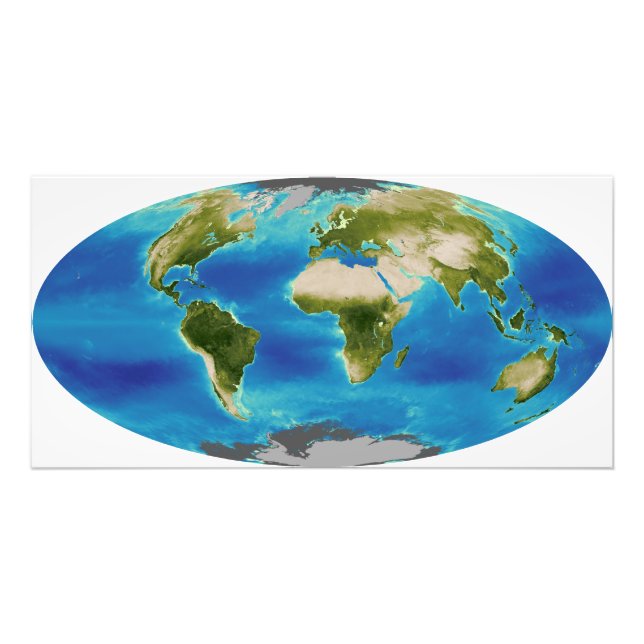 Durchschnittliches Wachstum der Pflanze der Erde Fotodruck (Vorne)