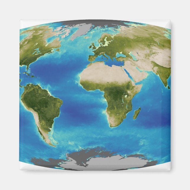 Durchschnittliches Wachstum der Pflanze der Erde Magnet (Vorne)