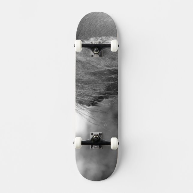 durchsichtig skateboard (Vorderseite)