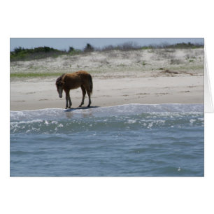 Durchstreifen Sie frei