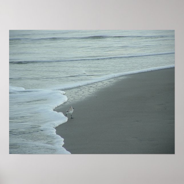 Durchwursteln des Fraktals Poster (Vorne)