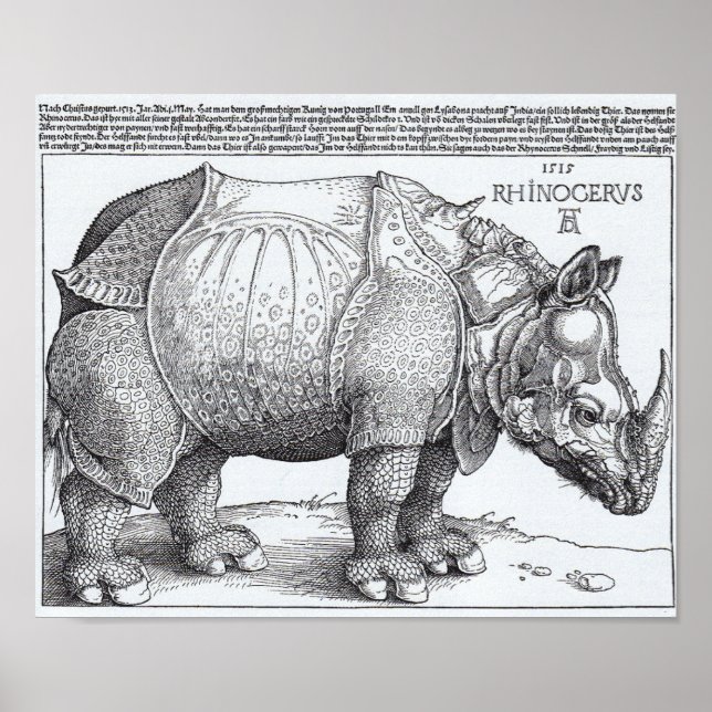 Dürer-Rhinozeros Poster (Vorne)
