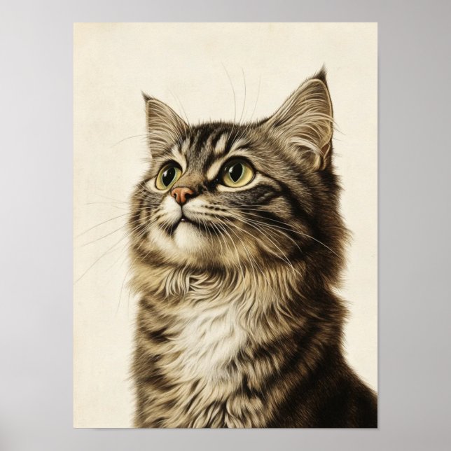 Dürer's Tabby Treasures 3 Poster (Vorne)