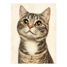 Dürer's Tabby Treasures 4