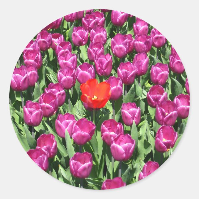 Dürfen Sie anders sein Runder Aufkleber (Vorderseite)