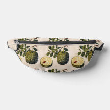 Durian Fruit and Foliage