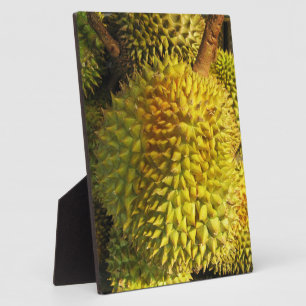 Durian Fruit Fotoplatte