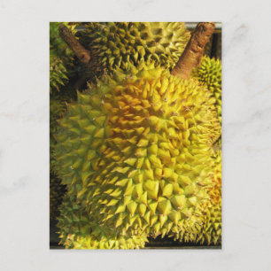 Durian Fruit Postkarte