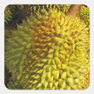 Durian Fruit Quadratischer Aufkleber