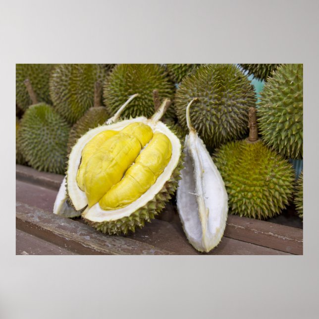 Durian King of Fruits in Singapur City Poster (Vorne)