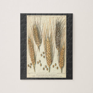Dürre-resistente Weizenpflanze, Vintage-Landwirtsc Puzzle