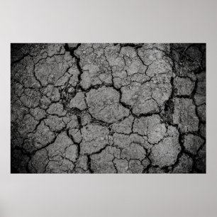 Dürredürre aus grauem Dreck Poster