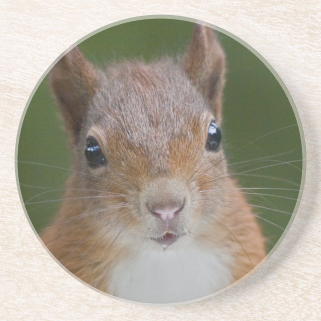 Durstige Eichhörnchen-Achterbahn Getränkeuntersetzer (Vorne)