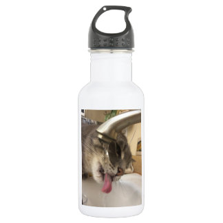 Durstige Katzenwasserflasche Edelstahlflasche