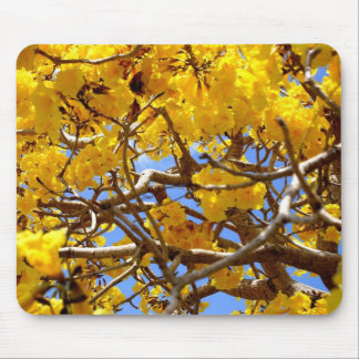 Dusche des Goldes Mousepad