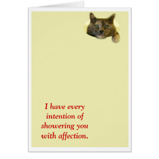 Dusche mit Zuneigung