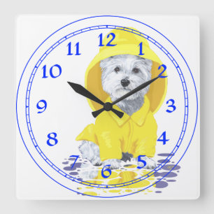 Duschen Westhochland-weißen Terriers April Quadratische Wanduhr