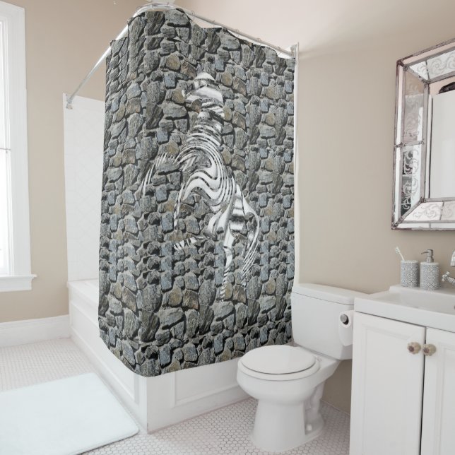 Duschvorhang (Beispiel)