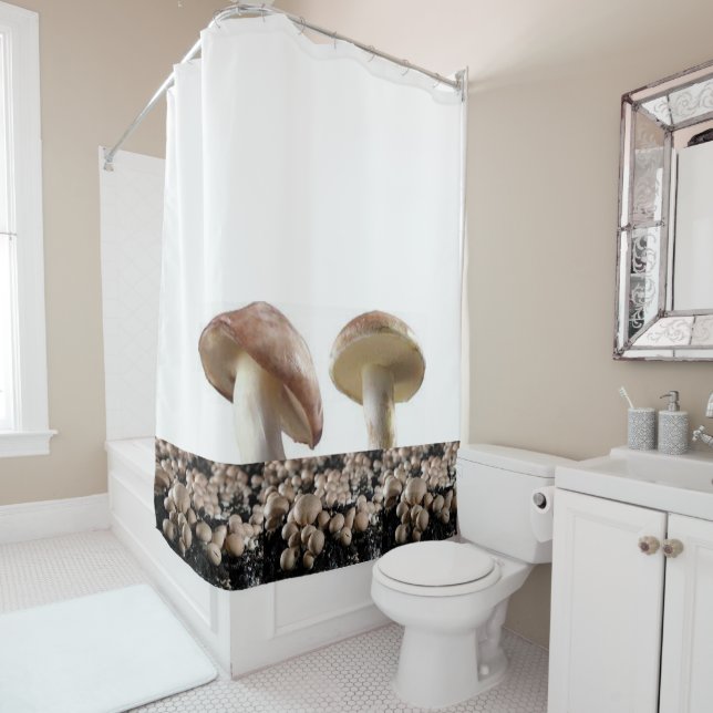 Duschvorhang (Beispiel)