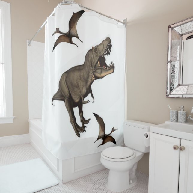 Duschvorhang (Beispiel)