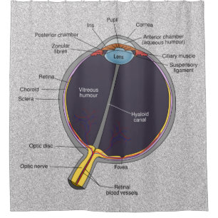 Duschvorhang aus dem Auge