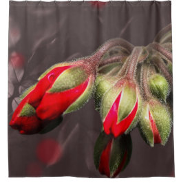 Duschvorhang blass rot und dunkel