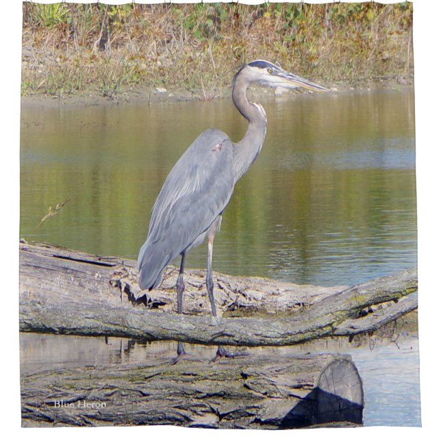 Duschvorhang Blue Heron (Vorderseite)