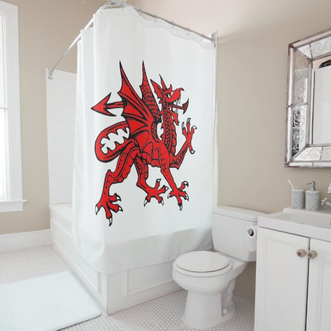 Duschvorhang Drache (Beispiel)