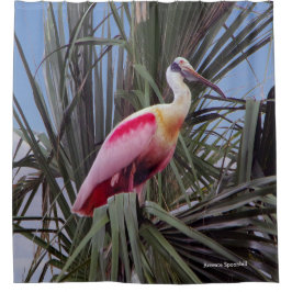 Duschvorhang für Roseate Spoonbill