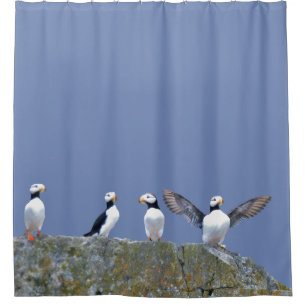 Duschvorhang mit Papageientauchern