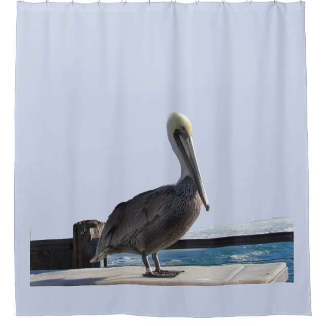 Duschvorhang - Pelican am Pier (Vorderseite)