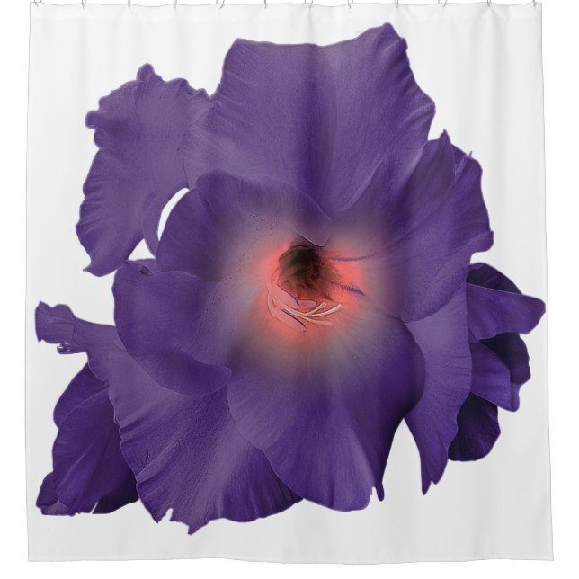 Duschvorhang Schwert Lily Indigo Rosa (Vorderseite)