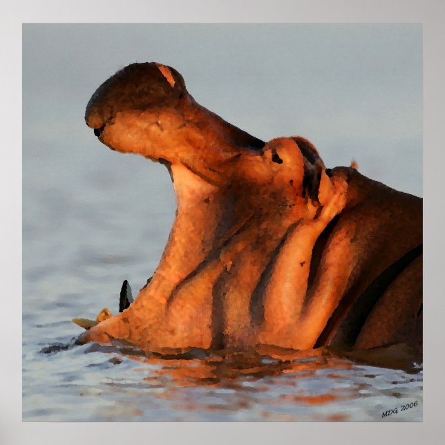 Dusk Hippopotamus Portrait Poster (Vorne)