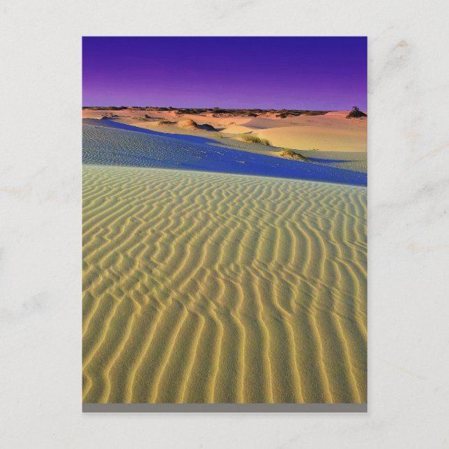 Dusk in Monahans Sands Postkarte (Vorderseite)