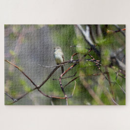 Dusky Flycatcher Puzzle