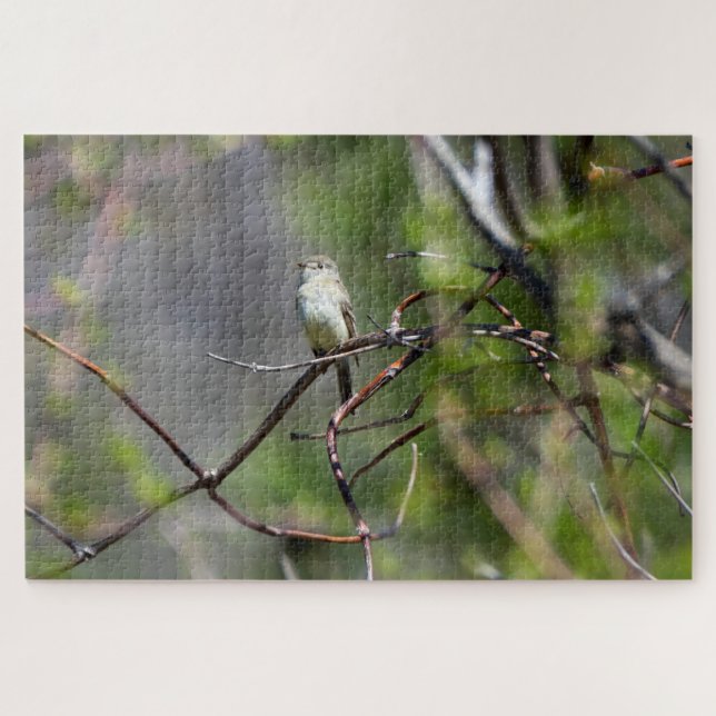 Dusky Flycatcher Puzzle (Horizontal)