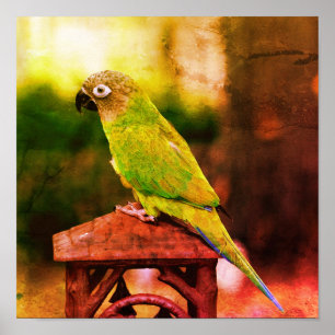 Dusky gehärtetes Perrot Abstrakt erschüttert Poster