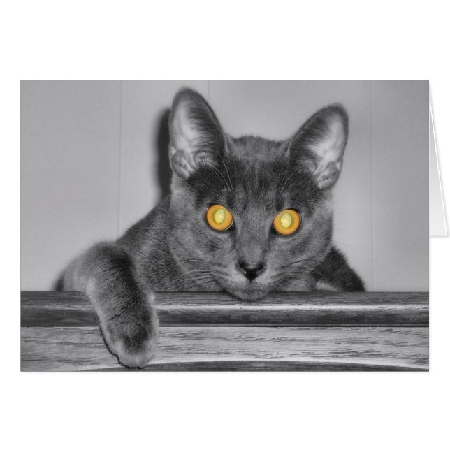 Dusky Gold Card (Vorderseite (Horizontal))