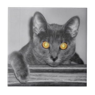 Dusky Gold Decorative Tile Fliese