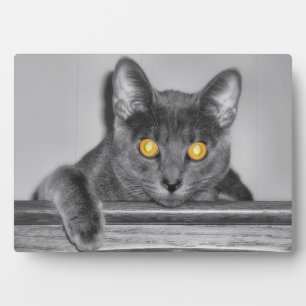 Dusky Gold Foto Plaque Fotoplatte