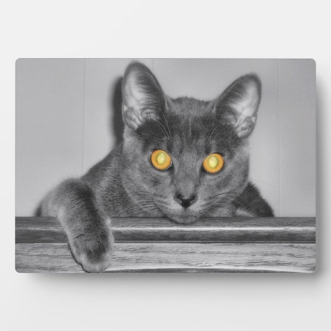 Dusky Gold Foto Plaque Fotoplatte (Vorderseite)