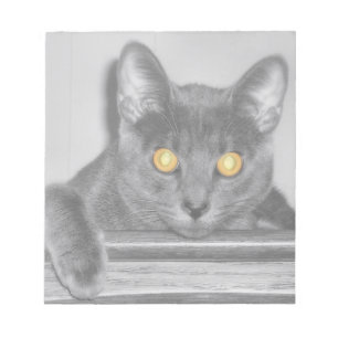 Dusky Gold Notepad Notizblock