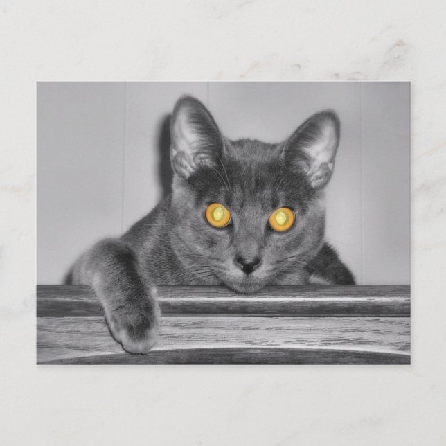 Dusky Gold Postcard Postkarte (Vorderseite)