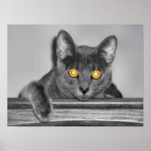 Dusky Gold Print Poster