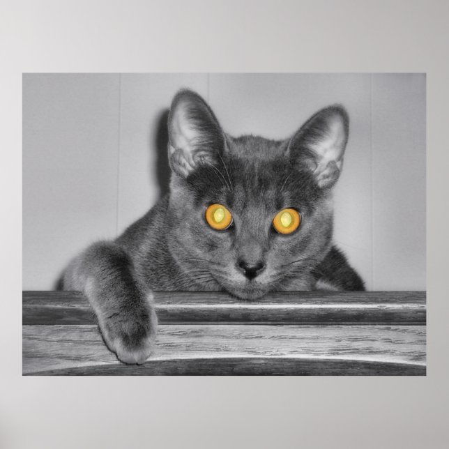Dusky Gold Print Poster (Vorne)