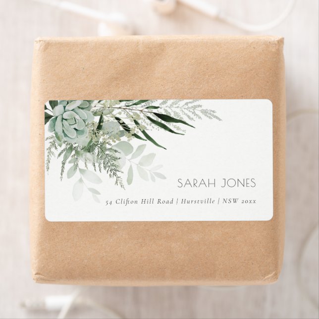 Dusky Green Leafy Fern Succulate Foliage Address (Insitu)