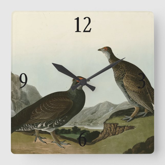 Dusky Grous (Blauer Grouse) Audubon Birds of Ameri Quadratische Wanduhr (Vorderseite)