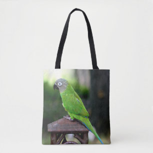 Dusky Headed Congreure Parrot