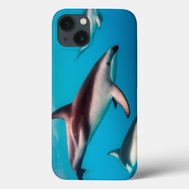 Duskydelphine vor Kaikoura Case-Mate iPhone Hülle (Rückseite)